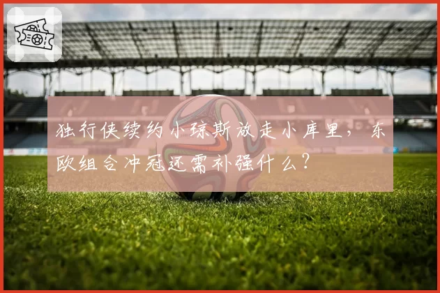 独行侠续约小琼斯放走小库里,东欧组合冲冠还需补强什么?