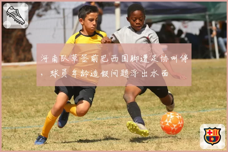 河南队草签前巴西国脚遭足协叫停,球员年龄造假问题浮出水面