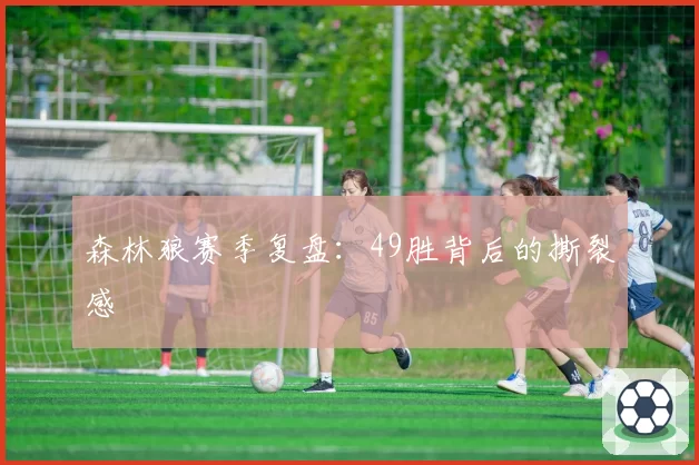 森林狼赛季复盘：49胜背后的撕裂感