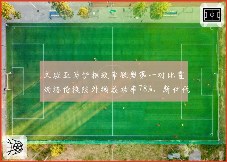文班亚马护框效率联盟第一对比霍姆格伦换防外线成功率78%，新世代独角兽内线战术价值分化__br_