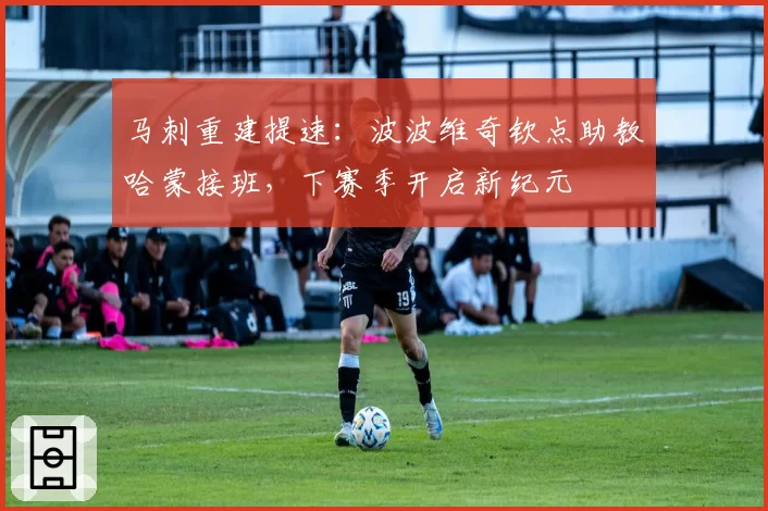 马刺重建提速：波波维奇钦点助教哈蒙接班，下赛季开启新纪元