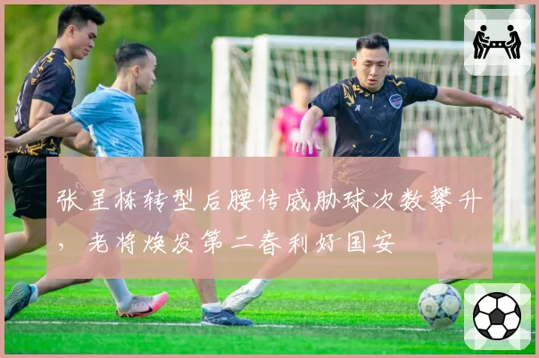 张呈栋转型后腰传威胁球次数攀升,老将焕发第二春利好国安